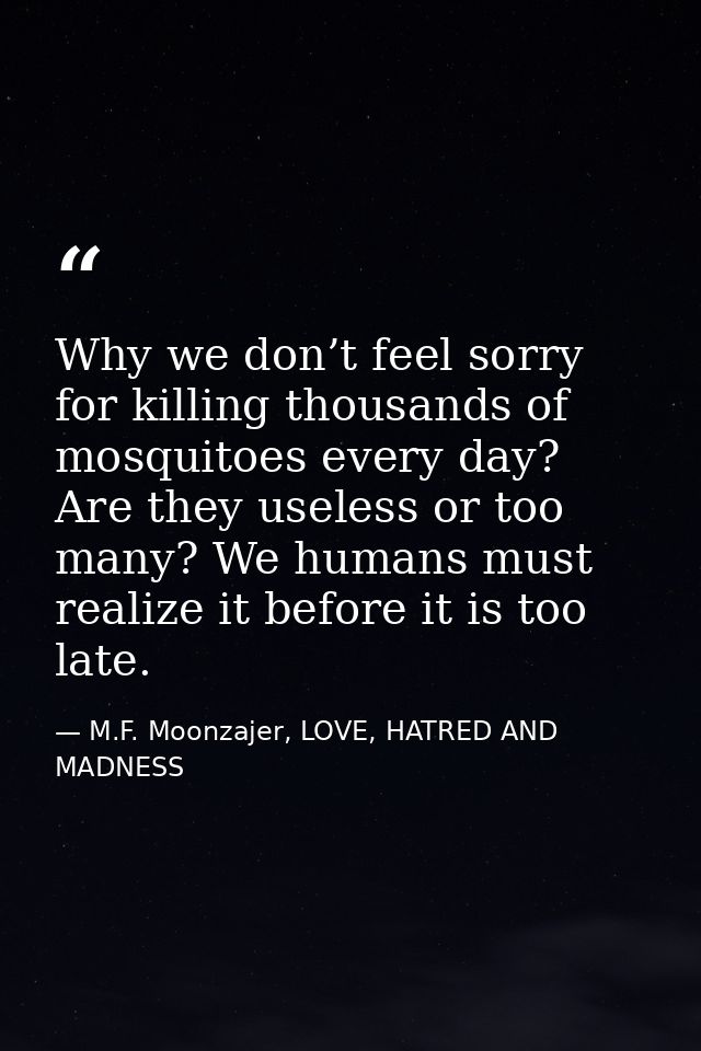 Why we don’t feel sorry for killing thousands of mosquitoes every day? Are they useless or too many? We humans must real — M.F. Moonzajer, LOVE, HATRED AND MADNESS