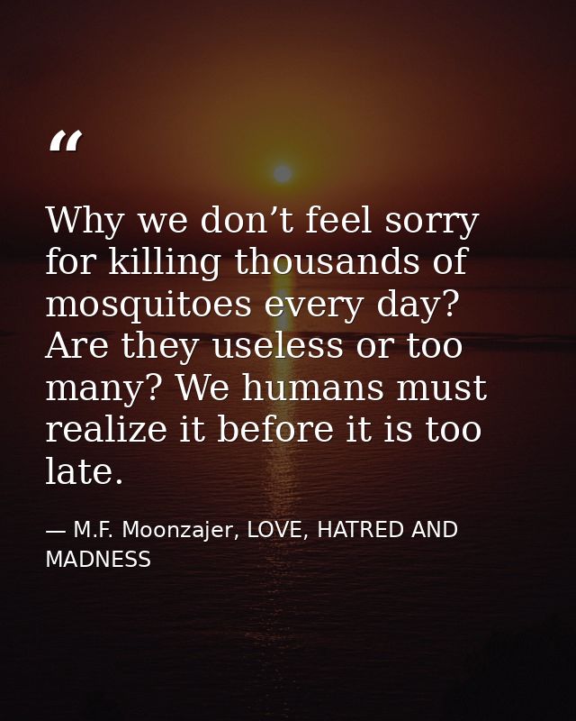 Why we don’t feel sorry for killing thousands of mosquitoes every day? Are they useless or too many? We humans must real — M.F. Moonzajer, LOVE, HATRED AND MADNESS