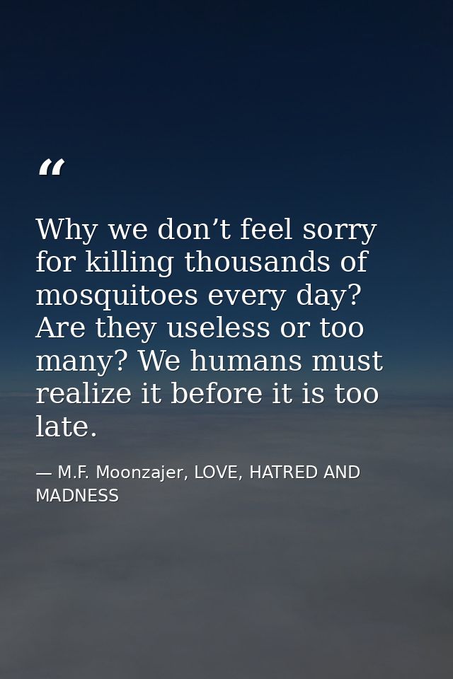 Why we don’t feel sorry for killing thousands of mosquitoes every day? Are they useless or too many? We humans must real — M.F. Moonzajer, LOVE, HATRED AND MADNESS
