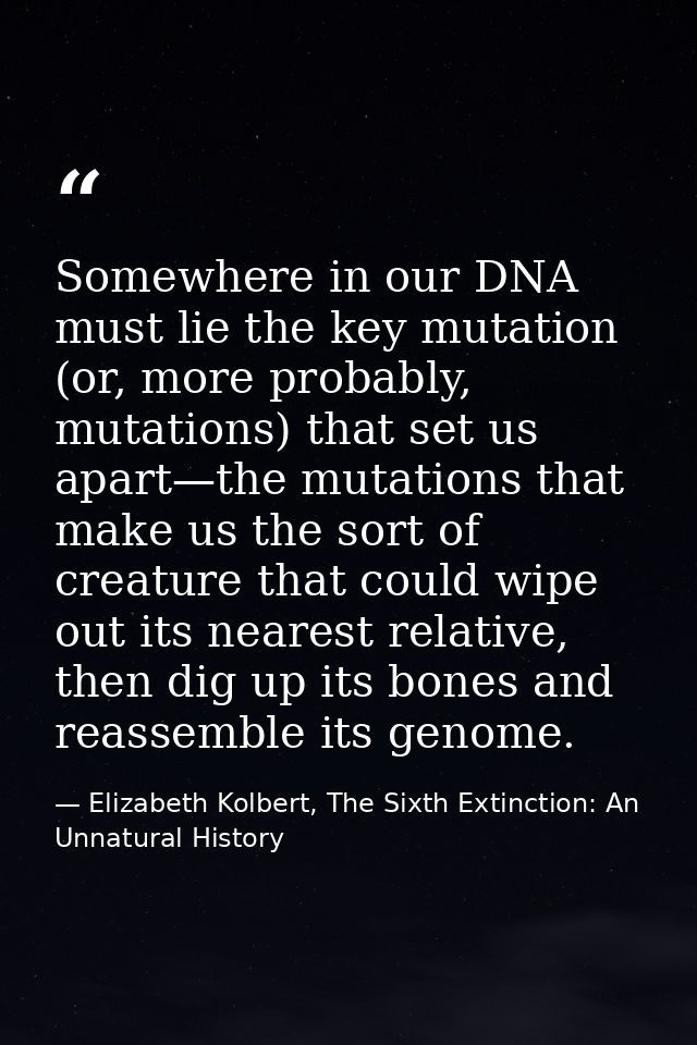 Somewhere in our DNA must lie the key mutation (or, more probably, mutations) that set us apart—the mutations that make  — Elizabeth Kolbert, The Sixth Extinction: An Unnatural History