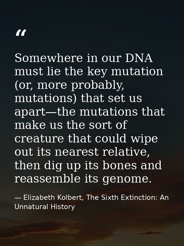 Somewhere in our DNA must lie the key mutation (or, more probably, mutations) that set us apart—the mutations that make  — Elizabeth Kolbert, The Sixth Extinction: An Unnatural History