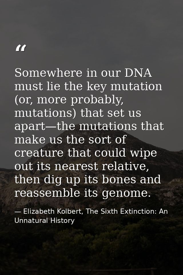 Somewhere in our DNA must lie the key mutation (or, more probably, mutations) that set us apart—the mutations that make  — Elizabeth Kolbert, The Sixth Extinction: An Unnatural History