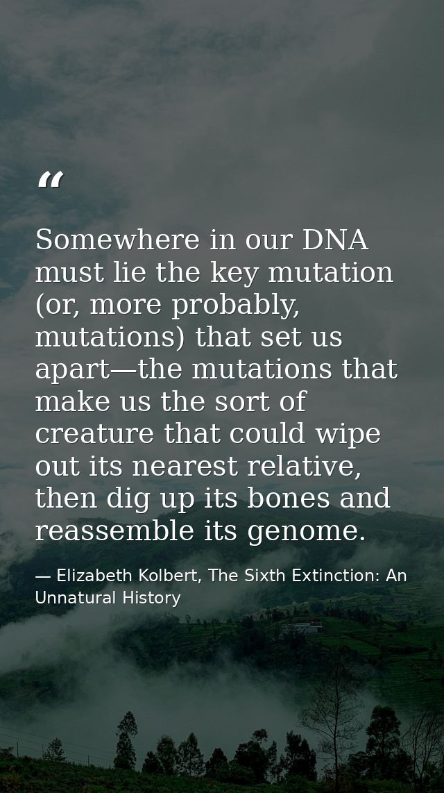 Somewhere in our DNA must lie the key mutation (or, more probably, mutations) that set us apart—the mutations that make  — Elizabeth Kolbert, The Sixth Extinction: An Unnatural History