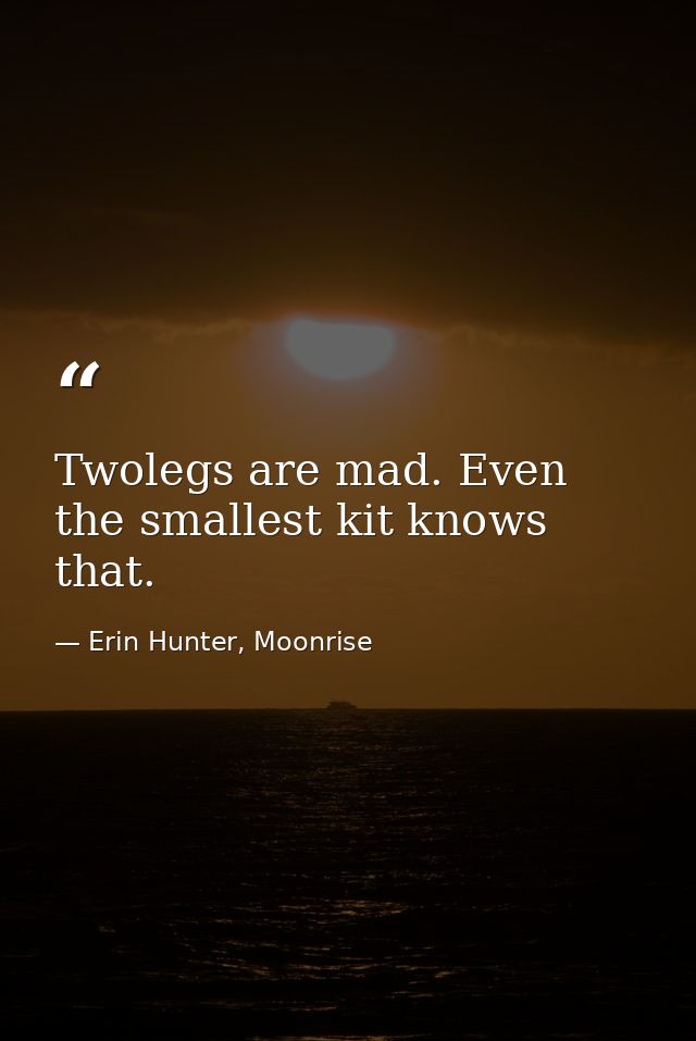Twolegs are mad. Even the smallest kit knows that. — Erin Hunter, Moonrise