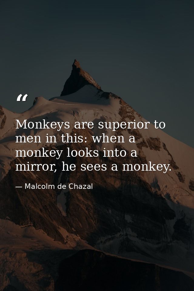 Monkeys are superior to men in this: when a monkey looks into a mirror, he sees a monkey. — Malcolm de Chazal