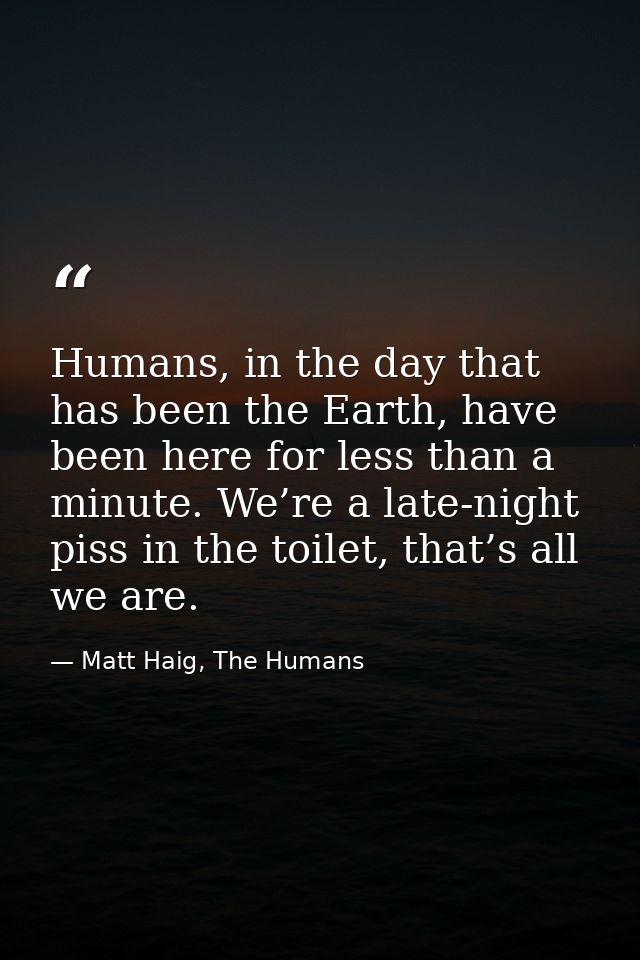 Humans, in the day that has been the Earth, have been here for less than a minute. We’re a late-night piss in the toilet — Matt Haig, The Humans