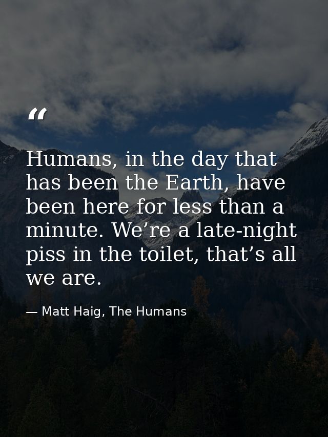 Humans, in the day that has been the Earth, have been here for less than a minute. We’re a late-night piss in the toilet — Matt Haig, The Humans