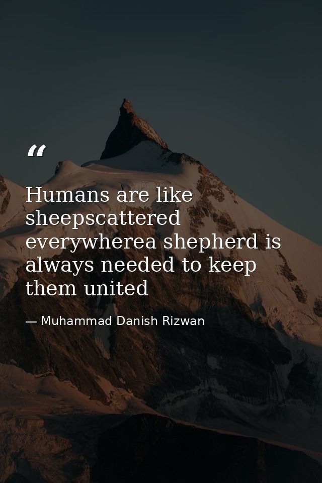Humans are like sheepscattered everywherea shepherd is always needed to keep them united — Muhammad Danish Rizwan