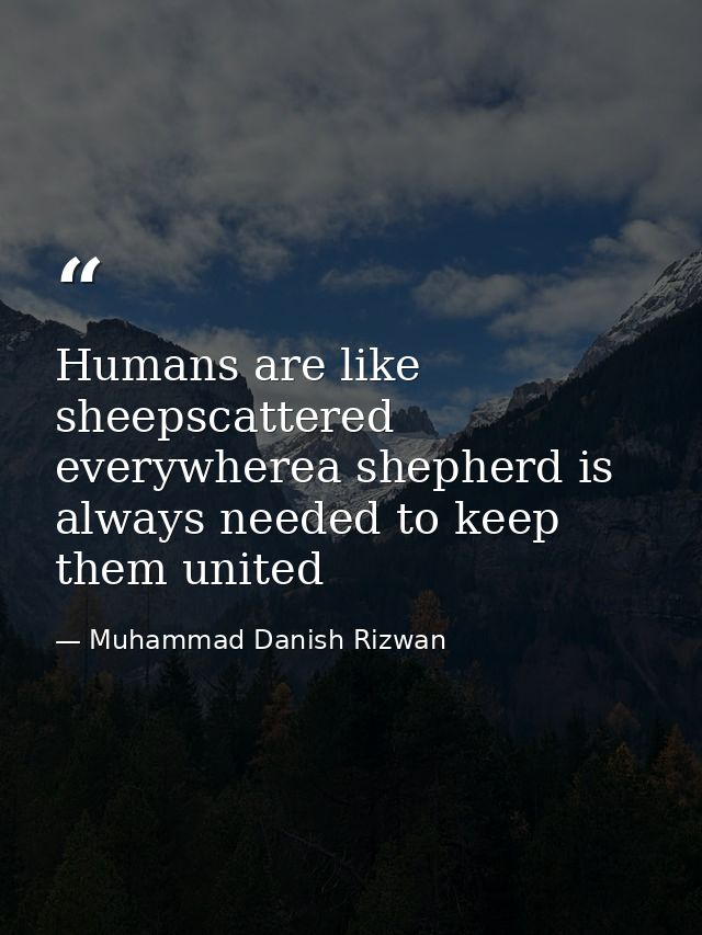 Humans are like sheepscattered everywherea shepherd is always needed to keep them united — Muhammad Danish Rizwan