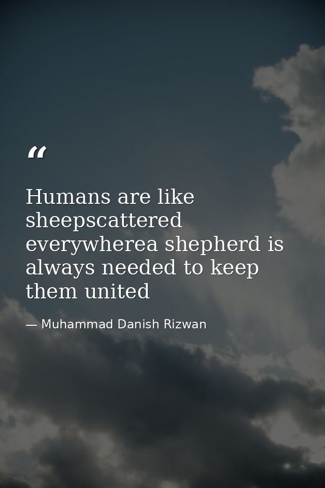 Humans are like sheepscattered everywherea shepherd is always needed to keep them united — Muhammad Danish Rizwan