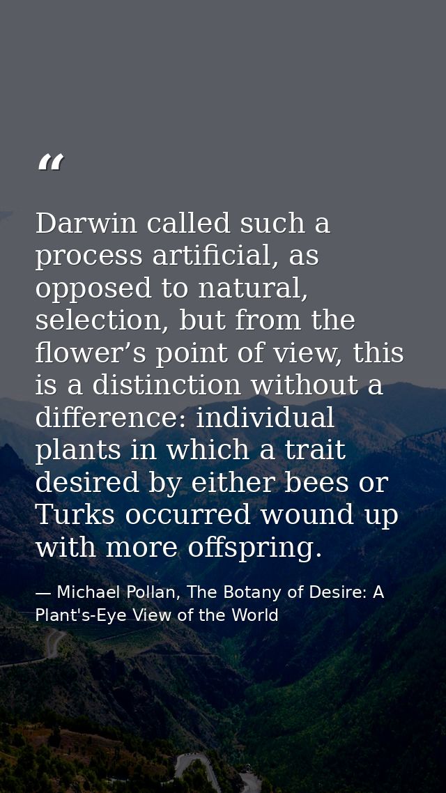 Darwin called such a process artificial, as opposed to natural, selection, but from the flower’s point of view, this is  — Michael Pollan, The Botany of Desire: A Plant's-Eye View of the World