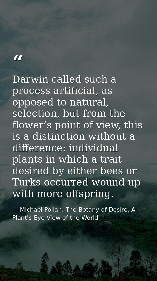 Darwin called such a process artificial, as opposed to natural, selection, but from the flower’s point of view, this is  — Michael Pollan, The Botany of Desire: A Plant's-Eye View of the World