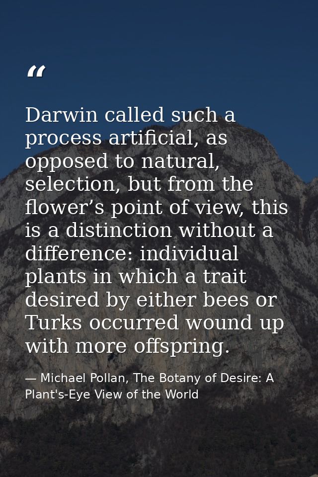 Darwin called such a process artificial, as opposed to natural, selection, but from the flower’s point of view, this is  — Michael Pollan, The Botany of Desire: A Plant's-Eye View of the World