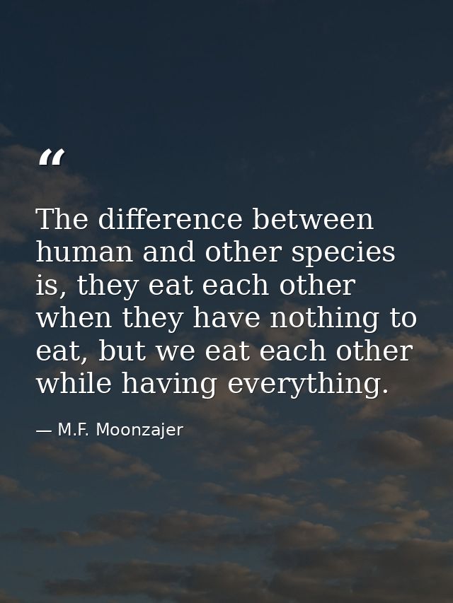The difference between human and other species is, they eat each other when they have nothing to eat, but we eat each ot — M.F. Moonzajer