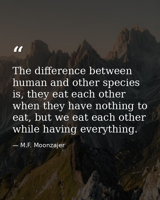 The difference between human and other species is, they eat each other when they have nothing to eat, but we eat each ot — M.F. Moonzajer