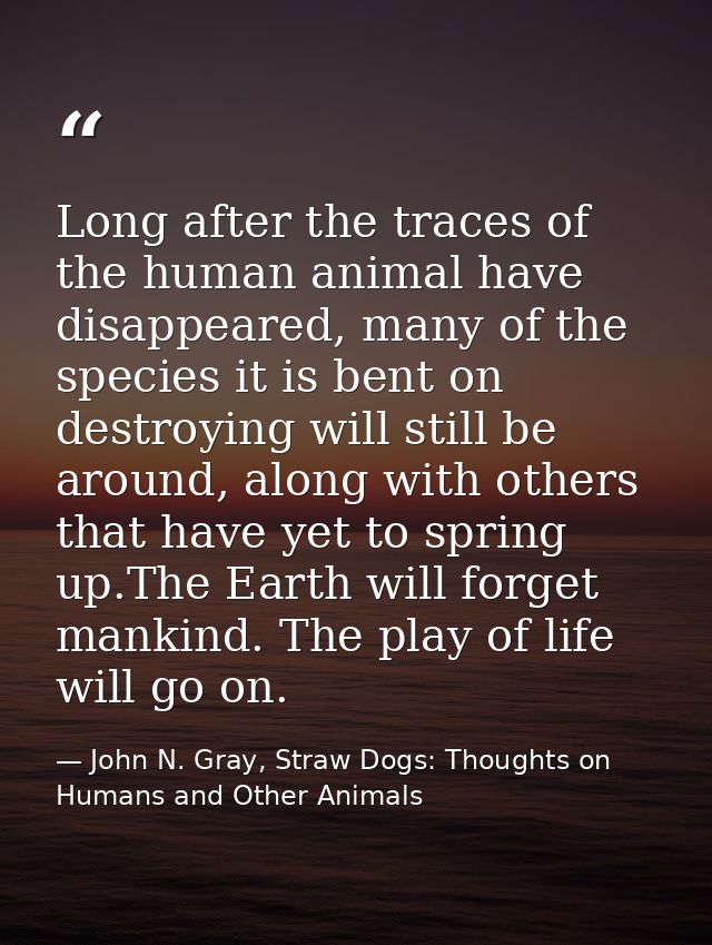 Long after the traces of the human animal have disappeared, many of the species it is bent on destroying will still be a — John N. Gray, Straw Dogs: Thoughts on Humans and Other Animals