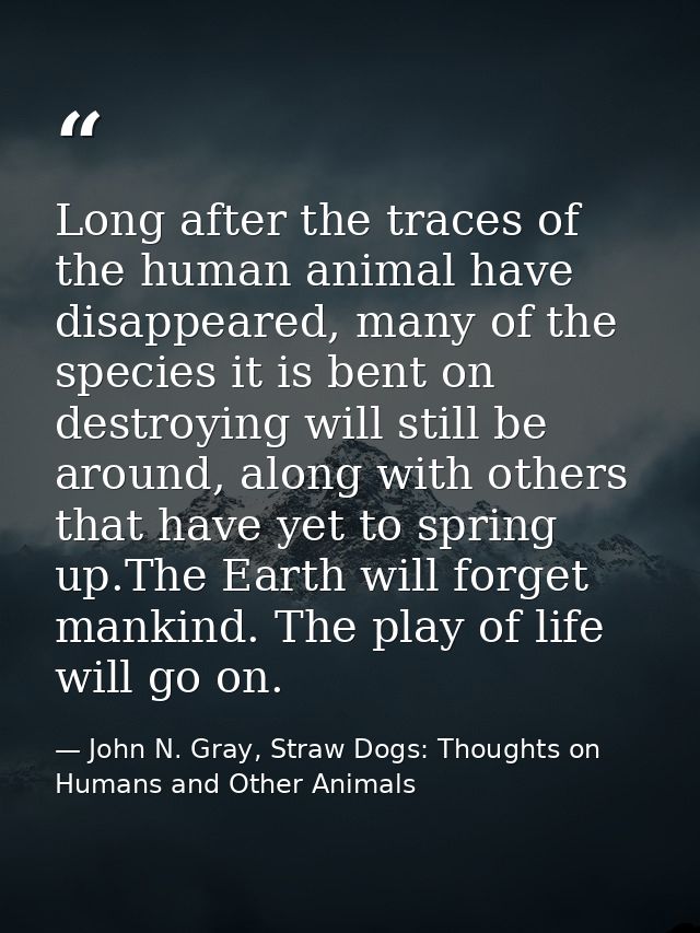 Long after the traces of the human animal have disappeared, many of the species it is bent on destroying will still be a — John N. Gray, Straw Dogs: Thoughts on Humans and Other Animals