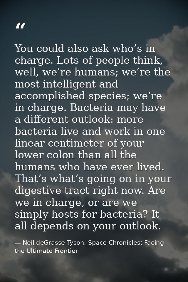 You could also ask who’s in charge. Lots of people think, well, we’re humans; we’re the most intelligent and accomplishe — Neil deGrasse Tyson, Space Chronicles: Facing the Ultimate Frontier