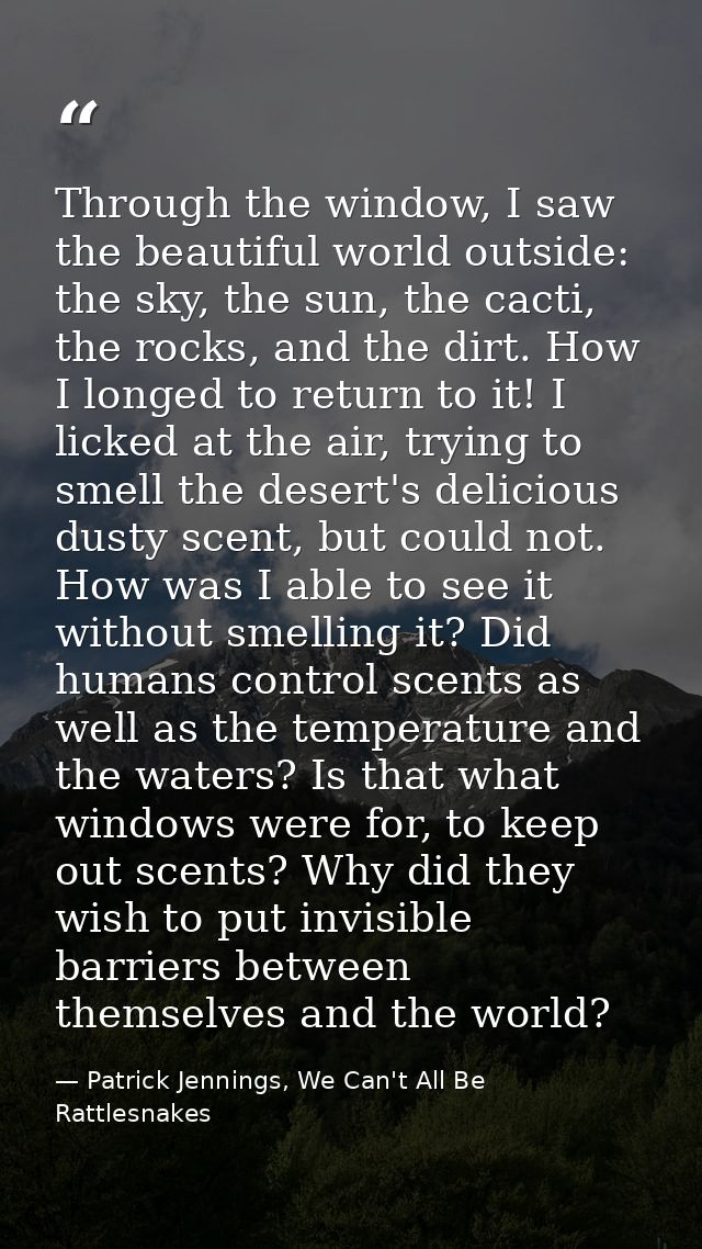 Through the window, I saw the beautiful world outside: the sky, the sun, the cacti, the rocks, and the dirt. How I longe — Patrick Jennings, We Can't All Be Rattlesnakes