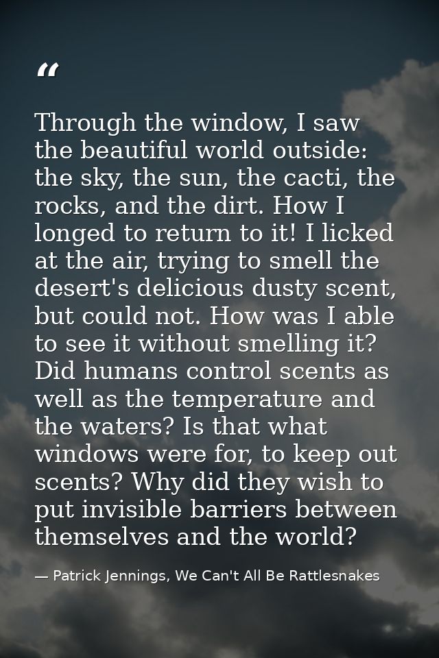 Through the window, I saw the beautiful world outside: the sky, the sun, the cacti, the rocks, and the dirt. How I longe — Patrick Jennings, We Can't All Be Rattlesnakes