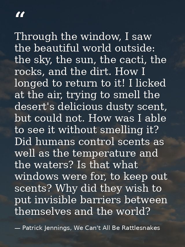 Through the window, I saw the beautiful world outside: the sky, the sun, the cacti, the rocks, and the dirt. How I longe — Patrick Jennings, We Can't All Be Rattlesnakes