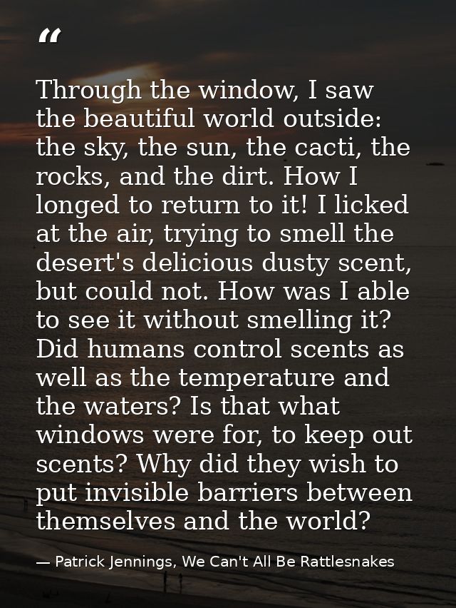 Through the window, I saw the beautiful world outside: the sky, the sun, the cacti, the rocks, and the dirt. How I longe — Patrick Jennings, We Can't All Be Rattlesnakes