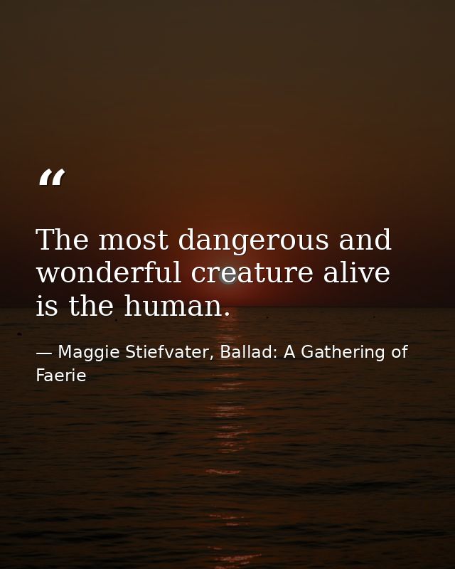 The most dangerous and wonderful creature alive is the human. — Maggie Stiefvater, Ballad: A Gathering of Faerie