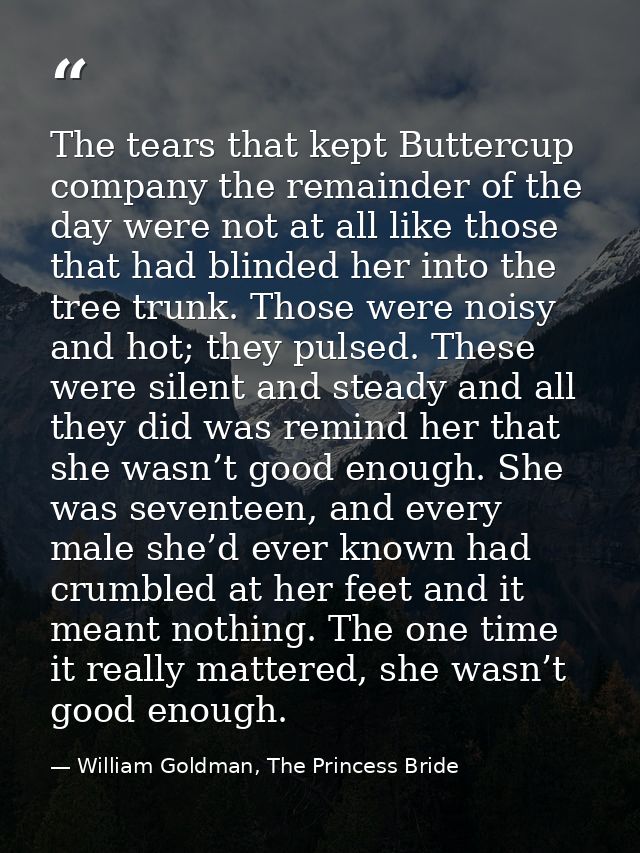 The tears that kept Buttercup company the remainder of the day were not at all like those that had blinded her into the  — William Goldman, The Princess Bride