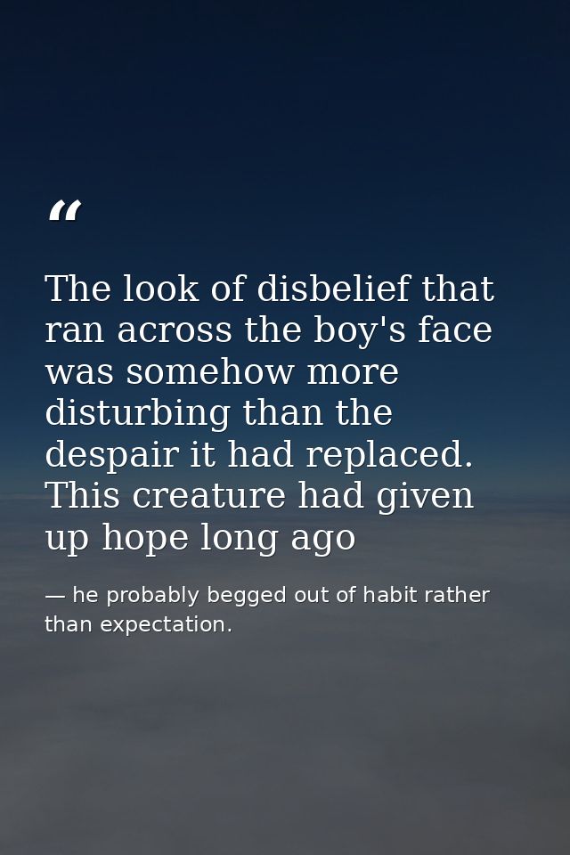 The look of disbelief that ran across the boy's face was somehow more disturbing than the despair it had replaced. This  — he probably begged out of habit rather than expectation.