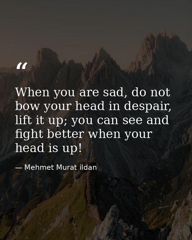 When you are sad, do not bow your head in despair, lift it up; you can see and fight better when your head is up! — Mehmet Murat ildan