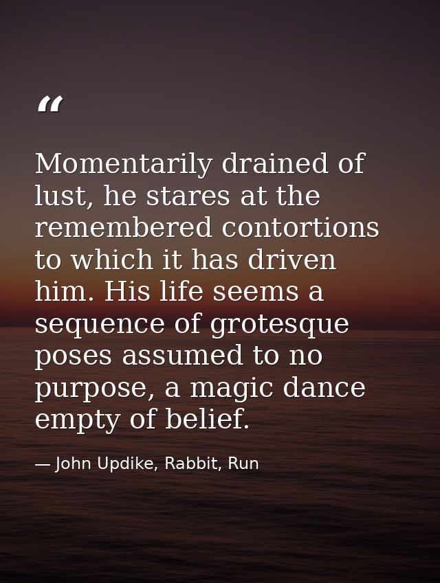 Momentarily drained of lust, he stares at the remembered contortions to which it has driven him. His life seems a sequen — John Updike, Rabbit, Run