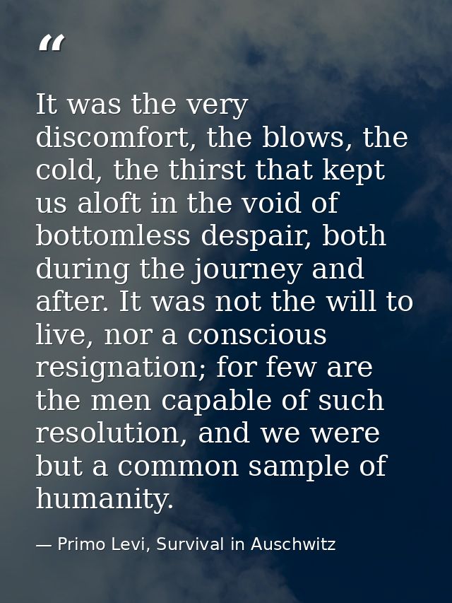 It was the very discomfort, the blows, the cold, the thirst that kept us aloft in the void of bottomless despair, both d — Primo Levi, Survival in Auschwitz