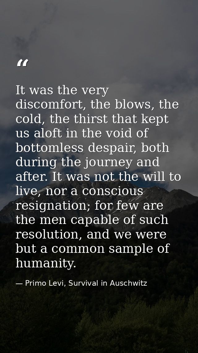 It was the very discomfort, the blows, the cold, the thirst that kept us aloft in the void of bottomless despair, both d — Primo Levi, Survival in Auschwitz