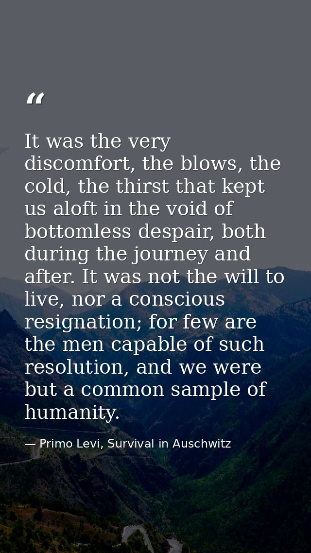 It was the very discomfort, the blows, the cold, the thirst that kept us aloft in the void of bottomless despair, both d — Primo Levi, Survival in Auschwitz