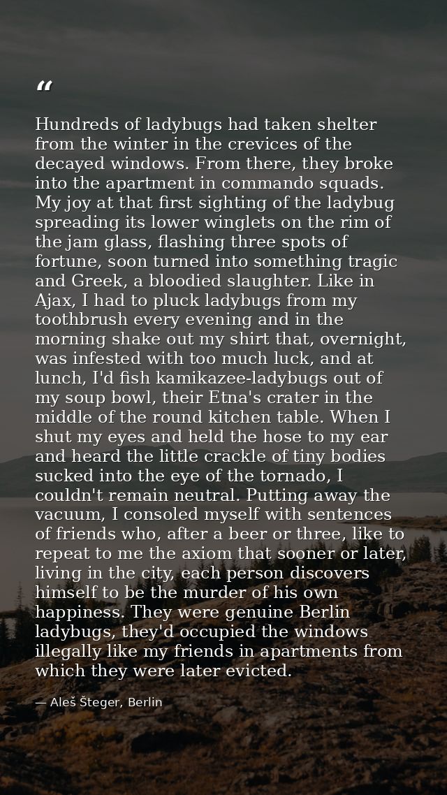 Hundreds of ladybugs had taken shelter from the winter in the crevices of the decayed windows. From there, they broke in — Aleš Šteger, Berlin