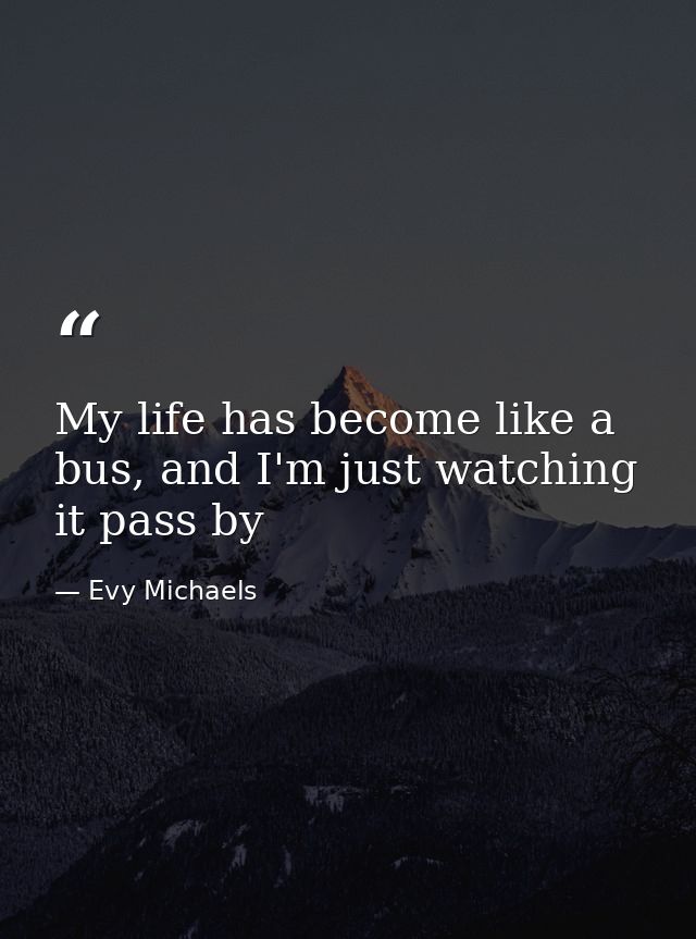 My life has become like a bus, and I'm just watching it pass by — Evy Michaels