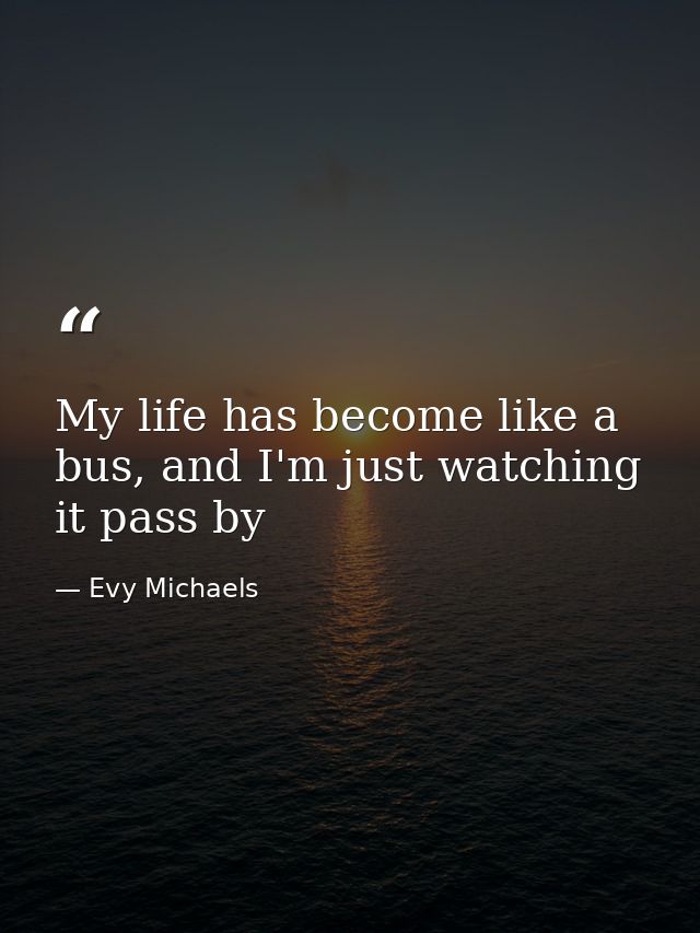 My life has become like a bus, and I'm just watching it pass by — Evy Michaels