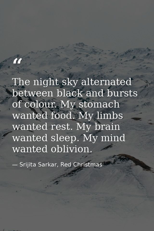 The night sky alternated between black and bursts of colour. My stomach wanted food. My limbs wanted rest. My brain want — Srijita Sarkar, Red Christmas