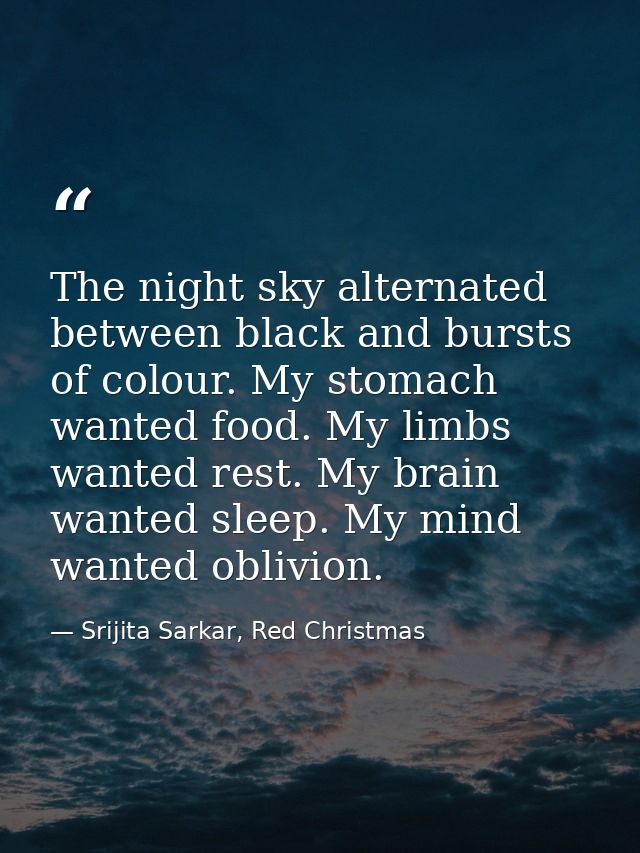 The night sky alternated between black and bursts of colour. My stomach wanted food. My limbs wanted rest. My brain want — Srijita Sarkar, Red Christmas