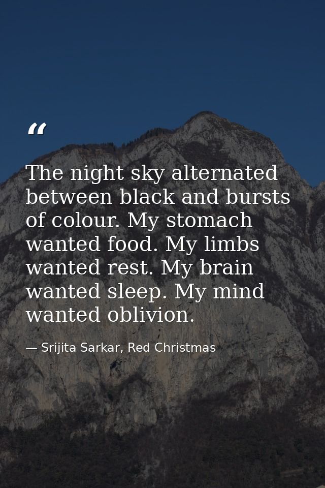 The night sky alternated between black and bursts of colour. My stomach wanted food. My limbs wanted rest. My brain want — Srijita Sarkar, Red Christmas
