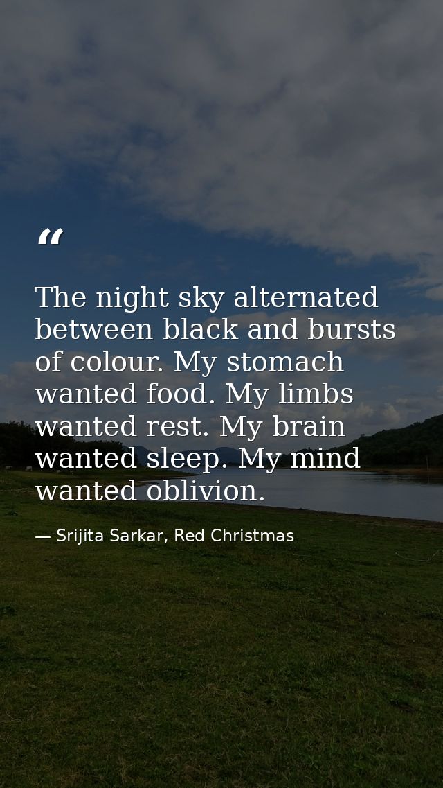 The night sky alternated between black and bursts of colour. My stomach wanted food. My limbs wanted rest. My brain want — Srijita Sarkar, Red Christmas