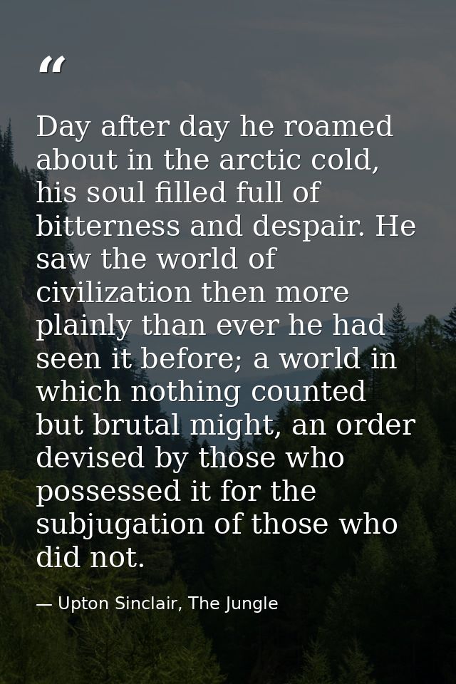 Day after day he roamed about in the arctic cold, his soul filled full of bitterness and despair. He saw the world of ci — Upton Sinclair, The Jungle