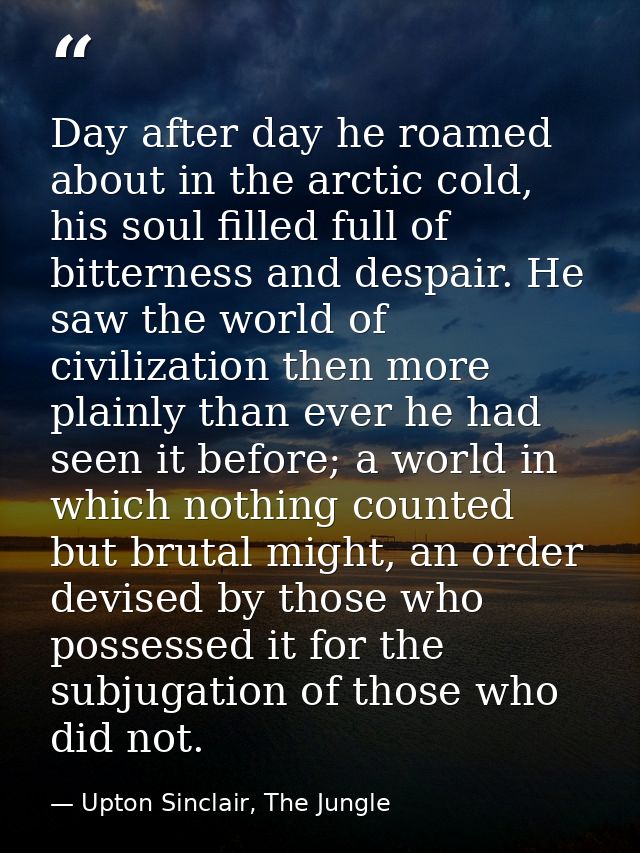 Day after day he roamed about in the arctic cold, his soul filled full of bitterness and despair. He saw the world of ci — Upton Sinclair, The Jungle