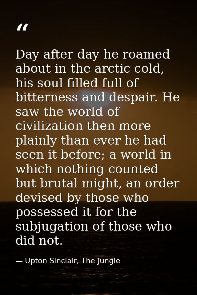 Day after day he roamed about in the arctic cold, his soul filled full of bitterness and despair. He saw the world of ci — Upton Sinclair, The Jungle