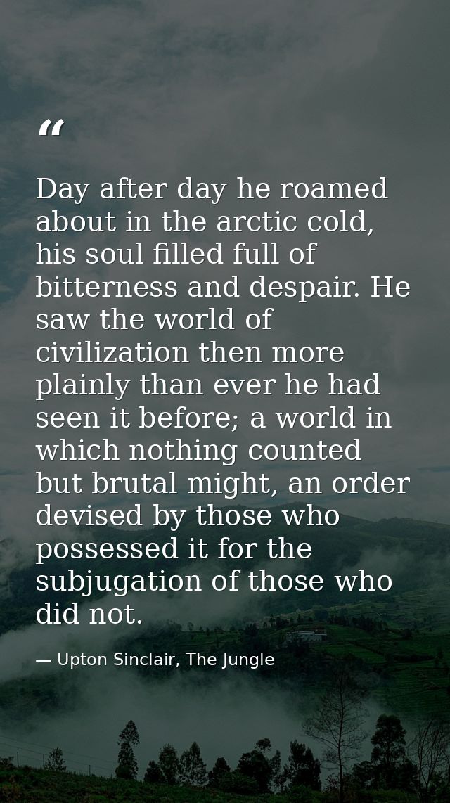 Day after day he roamed about in the arctic cold, his soul filled full of bitterness and despair. He saw the world of ci — Upton Sinclair, The Jungle