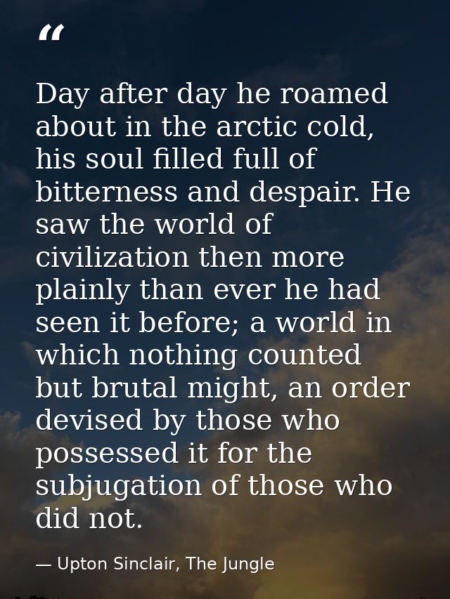 Day after day he roamed about in the arctic cold, his soul filled full of bitterness and despair. He saw the world of ci — Upton Sinclair, The Jungle