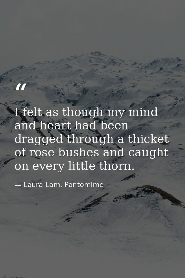 I felt as though my mind and heart had been dragged through a thicket of rose bushes and caught on every little thorn. — Laura Lam, Pantomime