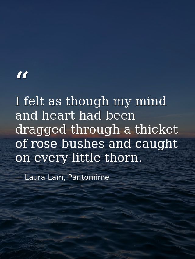 I felt as though my mind and heart had been dragged through a thicket of rose bushes and caught on every little thorn. — Laura Lam, Pantomime