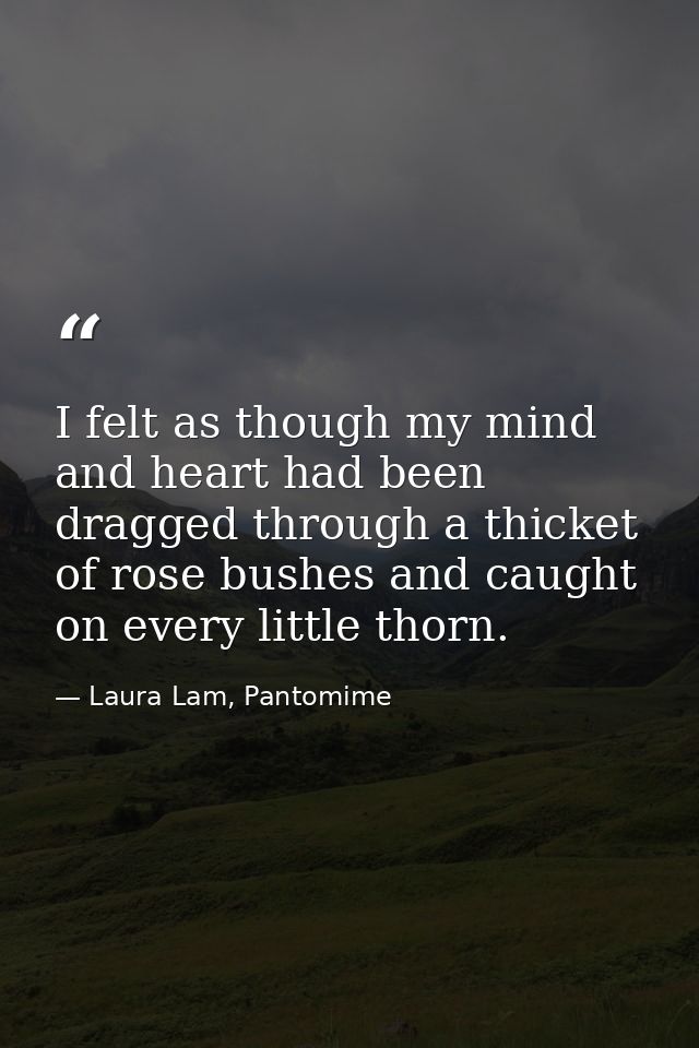 I felt as though my mind and heart had been dragged through a thicket of rose bushes and caught on every little thorn. — Laura Lam, Pantomime