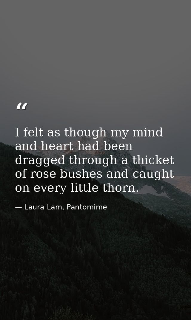 I felt as though my mind and heart had been dragged through a thicket of rose bushes and caught on every little thorn. — Laura Lam, Pantomime